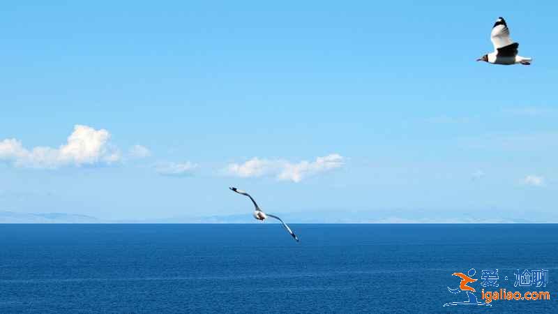 青海旅游幾月份最好，青海最佳旅游時間，青海適合幾月份去旅游？