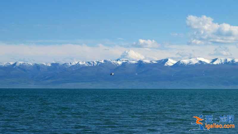 青海旅游幾月份最好，青海最佳旅游時間，青海適合幾月份去旅游？