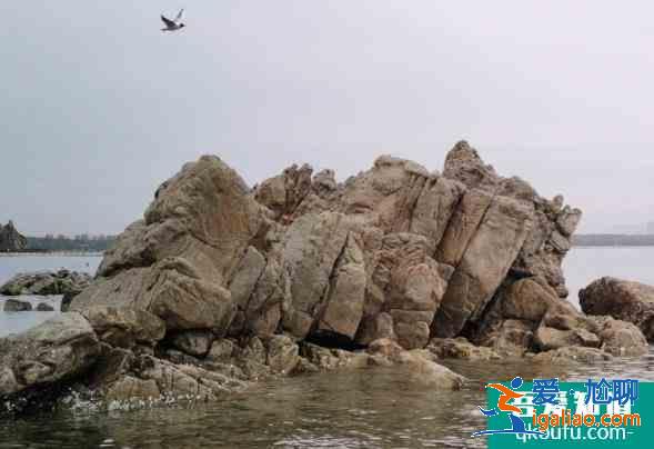 北戴河游記作文400字? 北戴河游記作文400字?