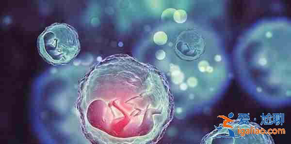 福州代懷孩子價格_三代試管嬰兒助孕? 福州代懷孩子價格_三代試管嬰兒助孕?