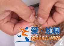脆瓜炒白米蝦怎么做？？