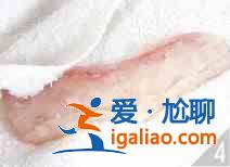 爆炒咸魚黃豆芽怎么做？？