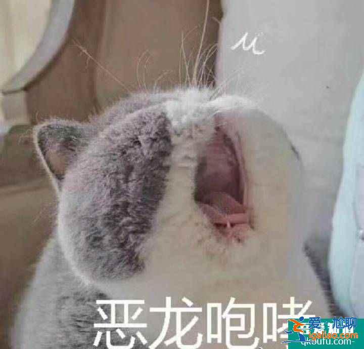 云頂之弈11.8版本推薦陣容六福星諾手，云頂11.8版本賽季末沖分陣容介紹？