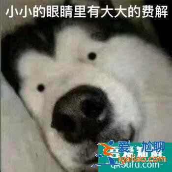 云頂之弈11.8版本推薦陣容七法龍王，云頂11.8版本賽季末沖分陣容介紹？