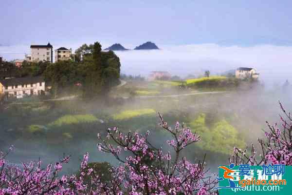 2021舟山桃花島門票多少錢一張 舟山桃花島幾月份去最好？