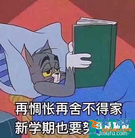 云頂之弈11.8版本推薦陣容神盾霞,云頂11.8版本賽季末沖分陣容介紹? 云頂之弈11.8版本推薦陣容神盾霞,云頂11.8版本賽季末沖分陣容介紹?