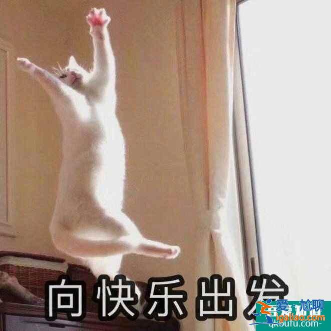 云頂之弈11.8版本推薦陣容七法龍王，云頂11.8版本賽季末沖分陣容介紹？