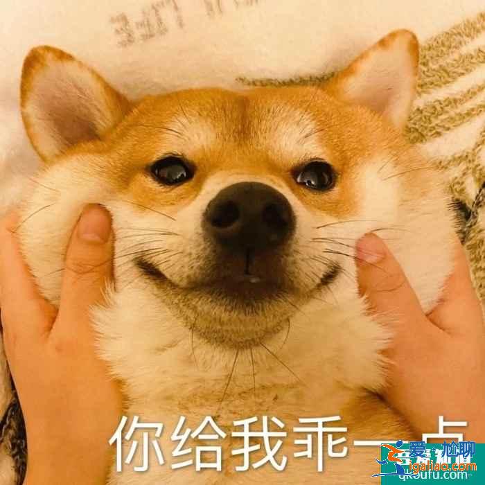 云頂之弈11.8版本推薦陣容宗師忍刺，云頂11.8版本賽季末沖分陣容介紹？