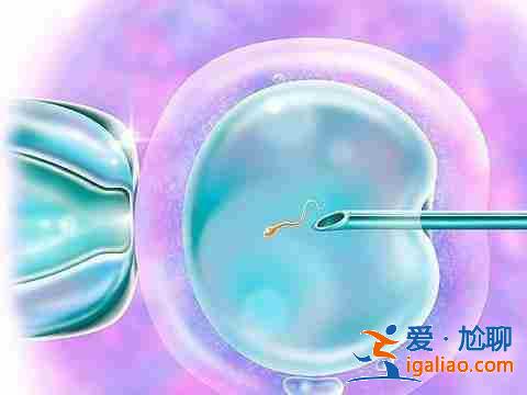 代懷男寶寶（費用清單）？