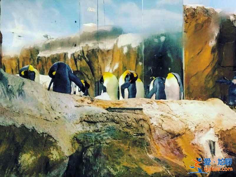 跟朋友去臺北怎么玩,和閨蜜去臺北適合去哪玩,和朋友去臺北游玩景點推薦? 跟朋友去臺北怎么玩,和閨蜜去臺北適合去哪玩,和朋友去臺北游玩景點推薦?