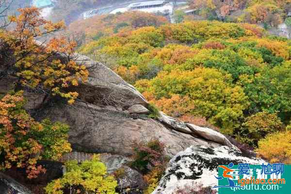 2021丹東鳳凰山門票多少錢一張 鳳凰山旅游攻略？