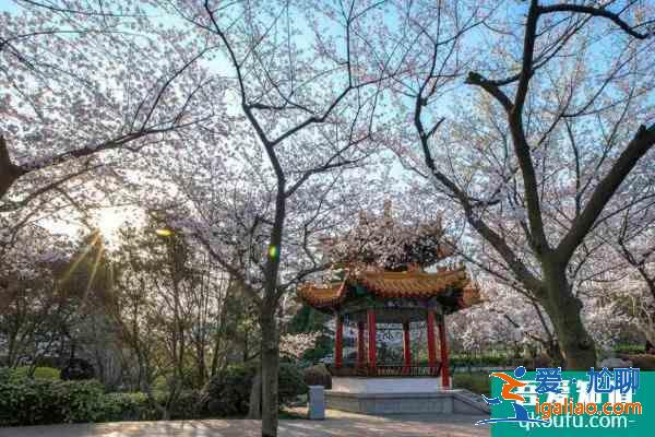 2021徐州五一旅游最佳去處？