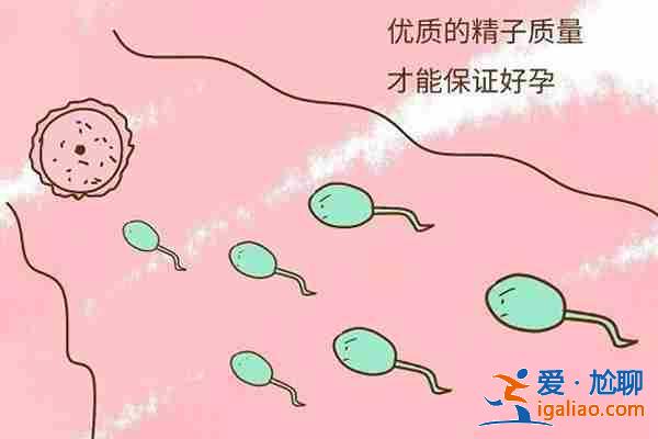 解說試管助孕費用多少（實力保障）？