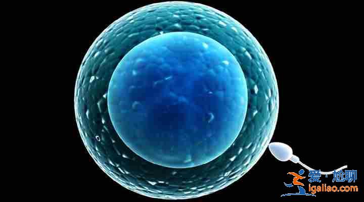 南寧找人代生小孩大概要多錢_價格清晰? 南寧找人代生小孩大概要多錢_價格清晰?