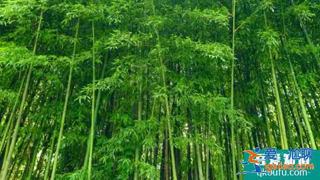 2021杭州五一景區門票半價及免費信息匯總? 2021杭州五一景區門票半價及免費信息匯總?