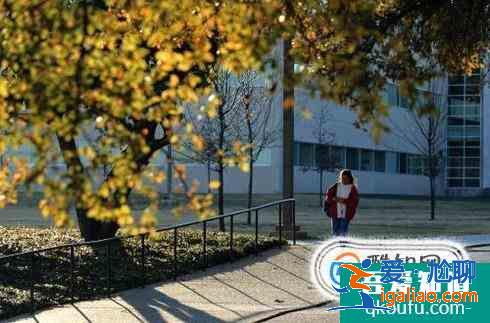 考研專業(yè)課真題如何找? 考研專業(yè)課真題如何找?