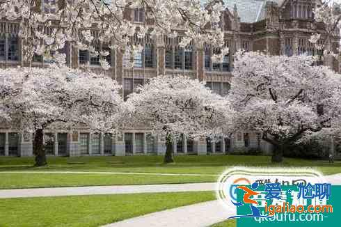 考研專業(yè)課真題如何找? 考研專業(yè)課真題如何找?