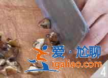 宮保雞丁怎么做？？