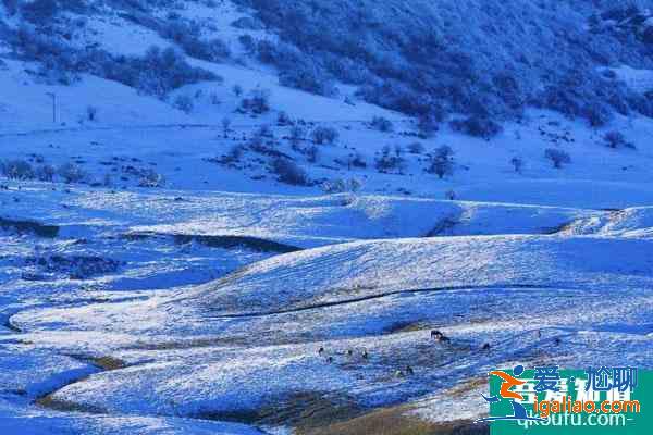 重慶哪里雪景最美 重慶冬天旅游好去處？