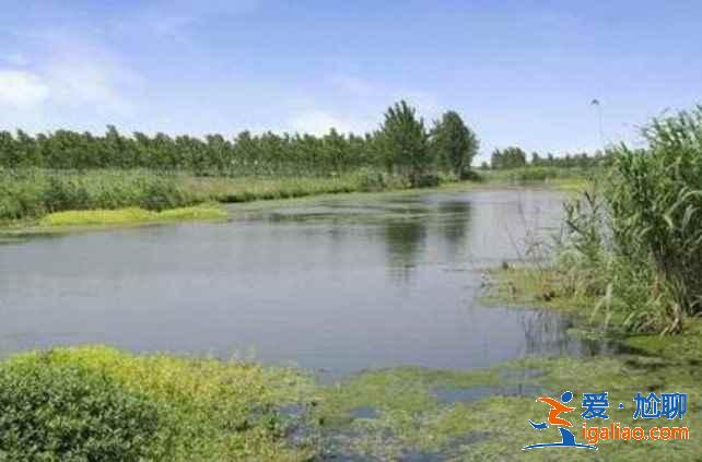 烏鎮(zhèn)有什么人少又好玩的景點(diǎn),烏鎮(zhèn)小眾景點(diǎn)攻略? 烏鎮(zhèn)有什么人少又好玩的景點(diǎn),烏鎮(zhèn)小眾景點(diǎn)攻略?