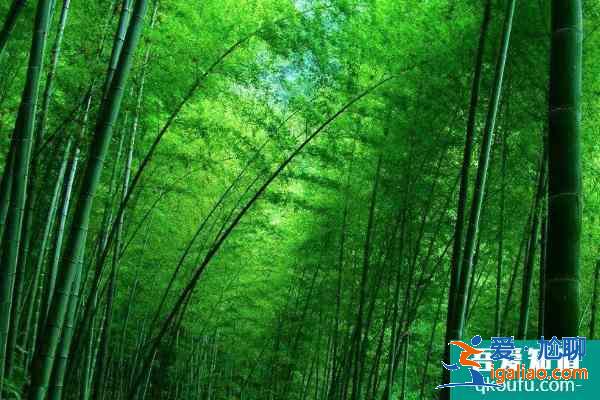 2021蜀南竹海門票多少錢 蜀南竹海幾月份去最好？