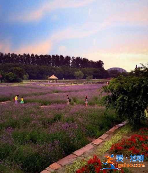 烏鎮(zhèn)有什么人少又好玩的景點(diǎn),烏鎮(zhèn)小眾景點(diǎn)攻略? 烏鎮(zhèn)有什么人少又好玩的景點(diǎn),烏鎮(zhèn)小眾景點(diǎn)攻略?