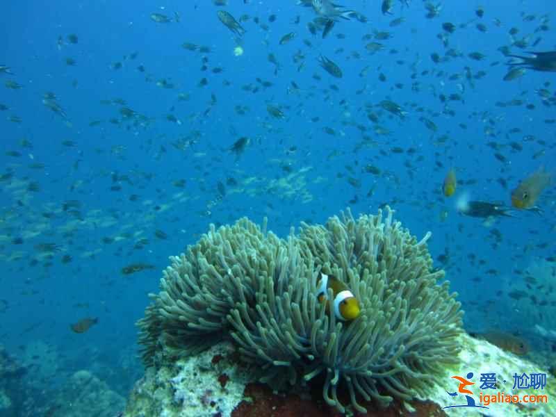 馬來西亞哪里最好玩，馬來西亞哪些島好玩，馬來西亞有什么好玩的？