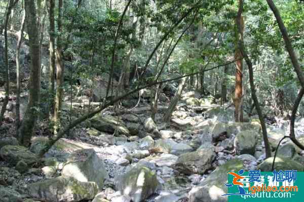 2021靈石山國家森林公園開放了嗎 門票價格以及游玩攻略？