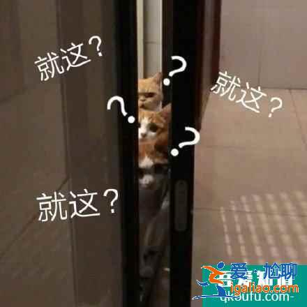 云頂之弈11.8版本推薦陣容天神裁決天使，云頂11.8版本賽季末沖分陣容介紹？