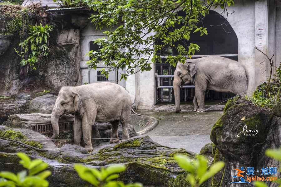 臺北動物園門票價格多少，臺北動物園有學生票嗎？