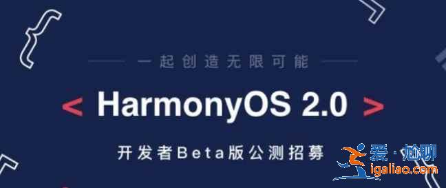 Harmony OS怎么區分公測版本和內測版本？
