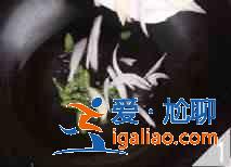 金針菇炒雞絲怎么做？？