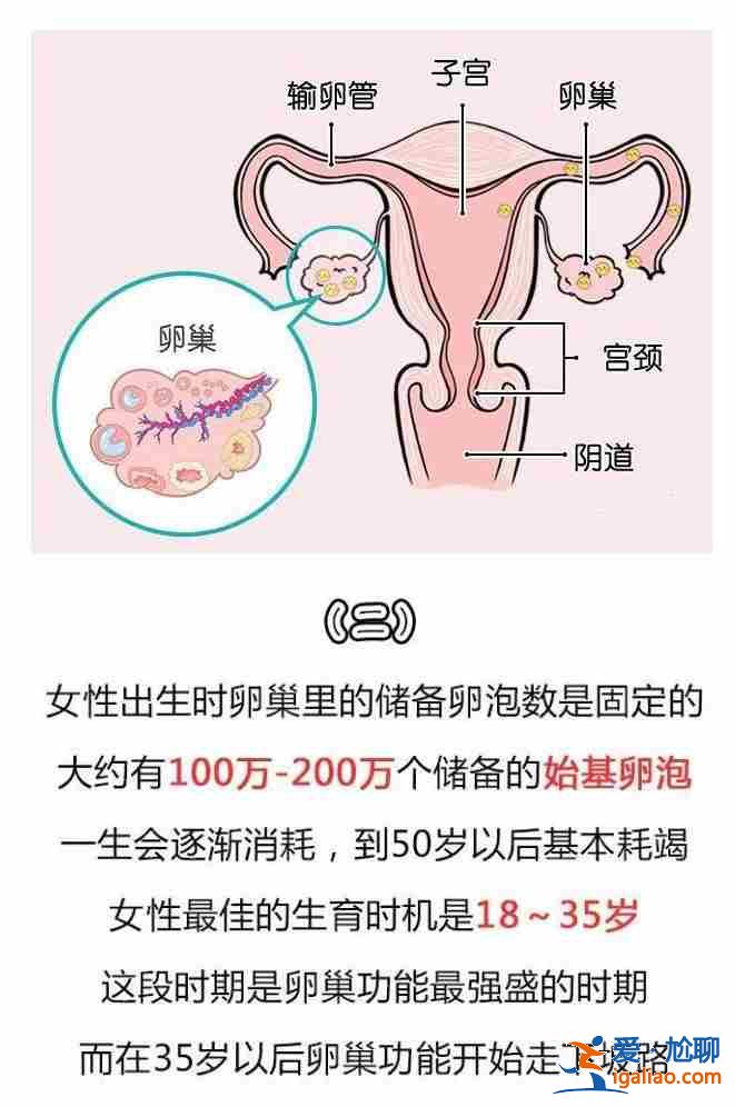 代生孩子補償_實現兒女雙全的助孕公司？