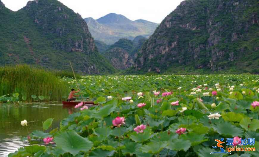 幾月份去云南旅游最好，一年四季分別適合去云南哪里，云南旅游月歷？