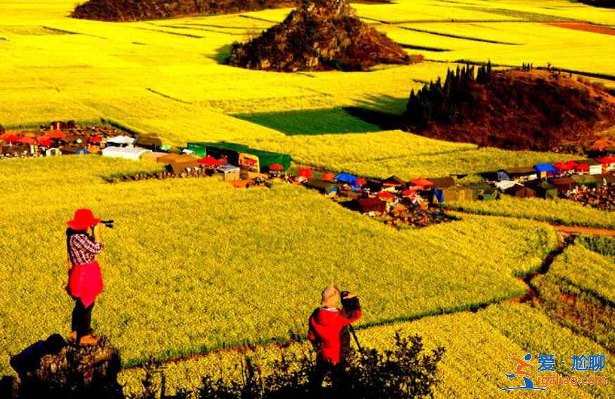幾月份去云南旅游最好，一年四季分別適合去云南哪里，云南旅游月歷？