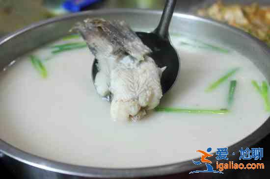 如何煮出奶白色的魚湯？