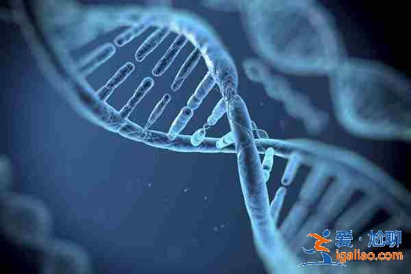 重慶代懷生寶寶? 重慶代懷生寶寶?