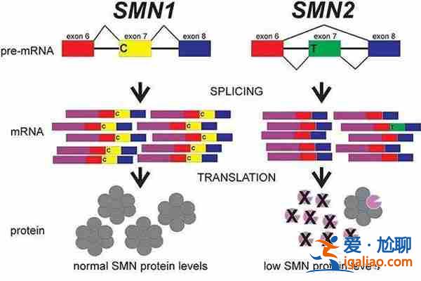 太原試管包男孩[ 正規(guī)直營 ]？