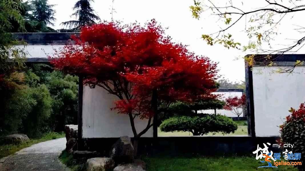 洛陽免費景點推薦，洛陽有哪些免費景點？