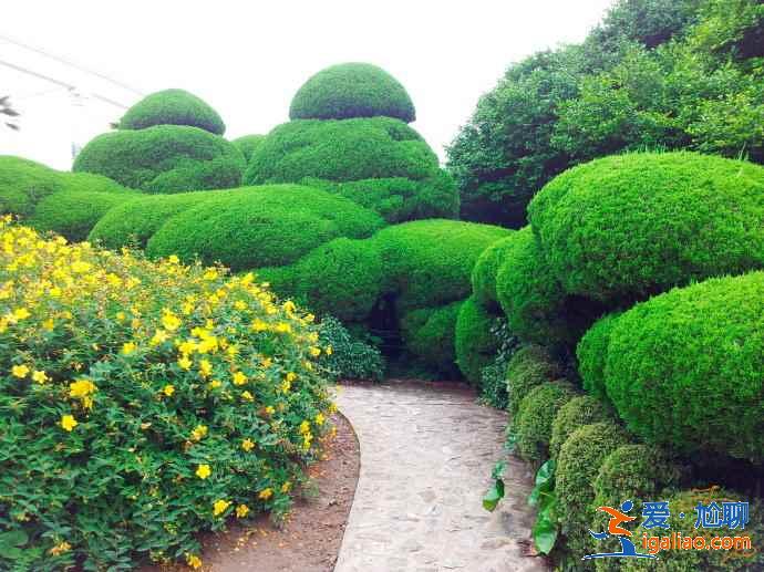 北海免費景點,廣西北海免費景點推薦? 北海免費景點,廣西北海免費景點推薦?