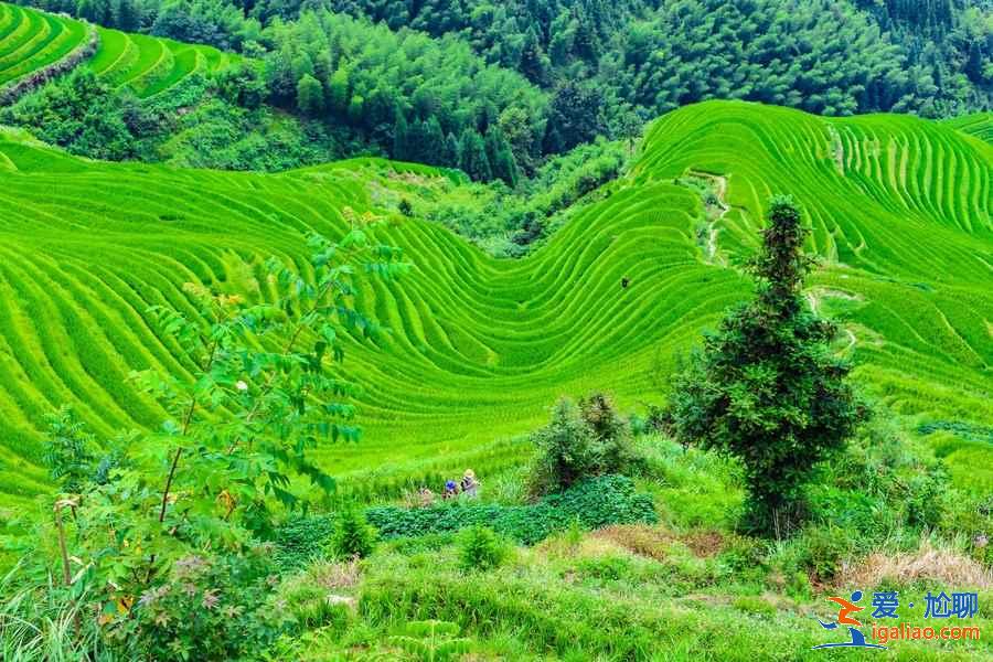 桂林有什么好玩的，桂林好玩嗎，桂林旅游必去景點(diǎn)？