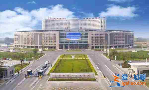 試管嬰兒雙胞胎（借卵胚胎）？