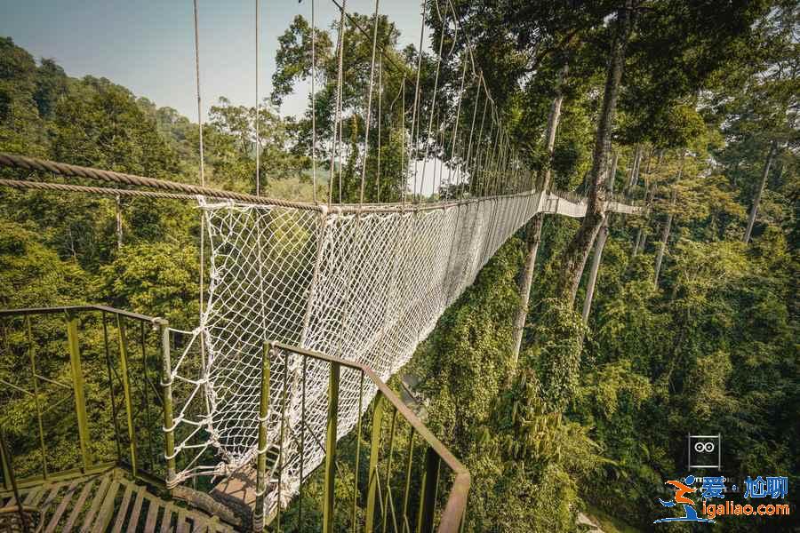 云南滇東南六日游怎么玩,云南滇東南六天自由行指南,云南滇東南六日游路線推薦? 云南滇東南六日游怎么玩,云南滇東南六天自由行指南,云南滇東南六日游路線推薦?