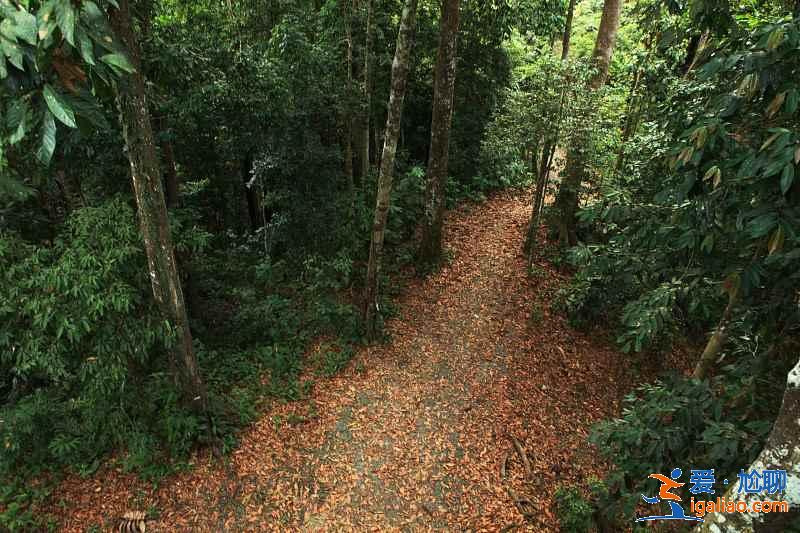 帶孩子去馬來西亞怎么玩，馬來西亞親子游攻略？