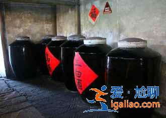 烏鎮必體驗，烏鎮不可錯過的五大體驗？