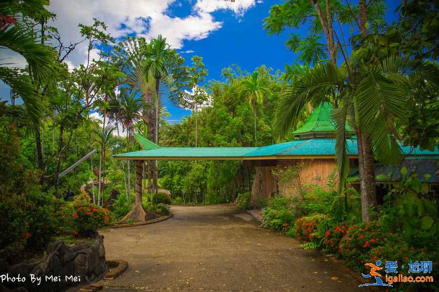 帶孩子去馬來西亞怎么玩，馬來西亞親子游攻略？