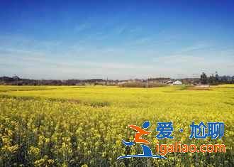 云南情侶旅游必體驗(yàn)，云南情侶游攻略？