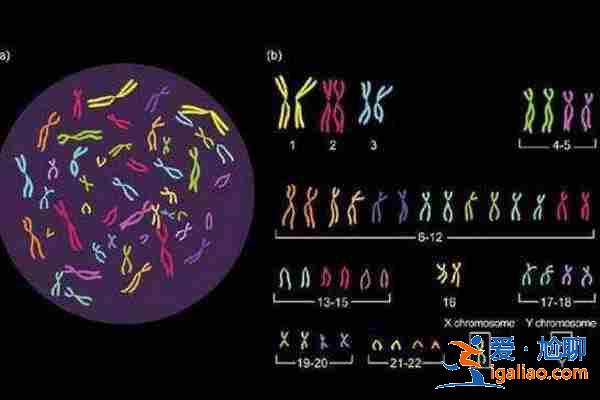 合肥包生男孩「預約咨詢」? 合肥包生男孩「預約咨詢」?