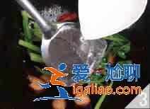 菜心炒臘肉怎么做？？