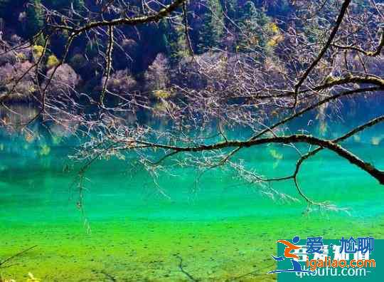 2020九寨溝11月份能去嗎 及九寨溝旅游攻略？